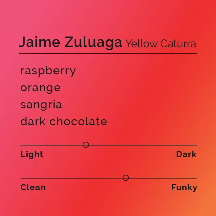 Jaime Zuluaga - Yellow Caturra