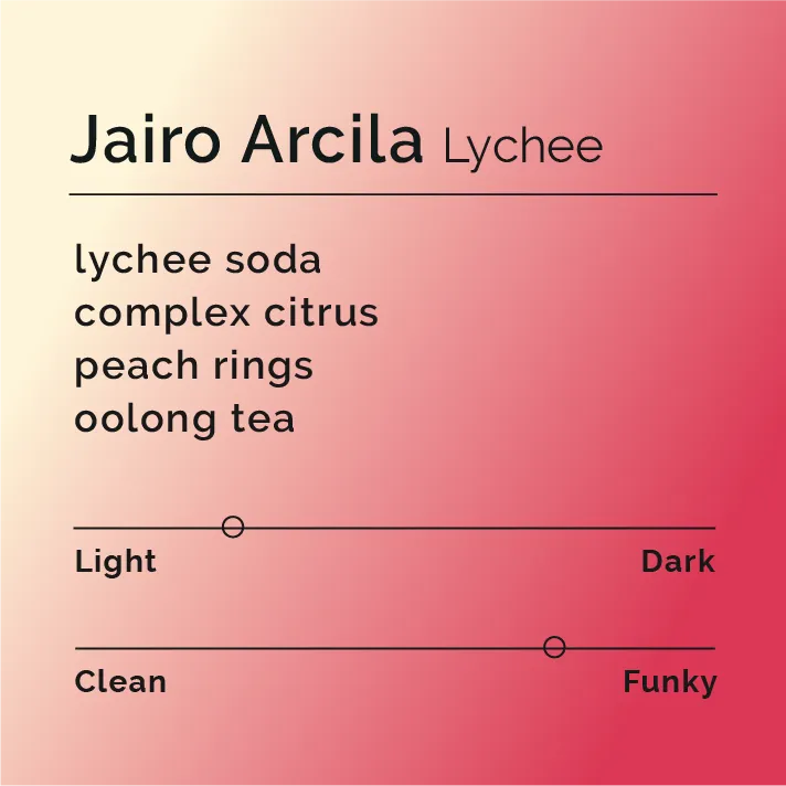 Jairo Arcila - Lychee
