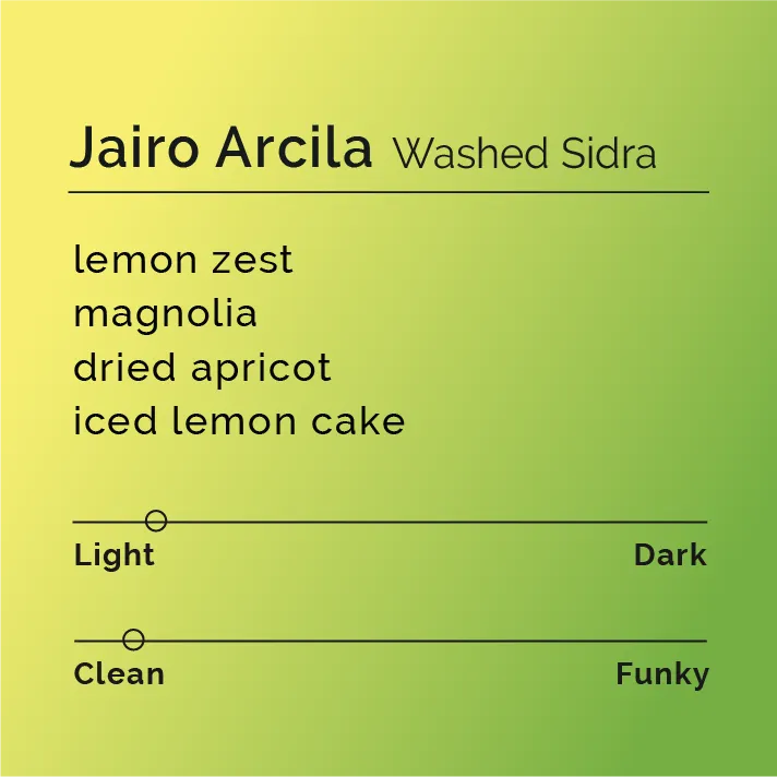 Jairo Arcila - Sidra Washed