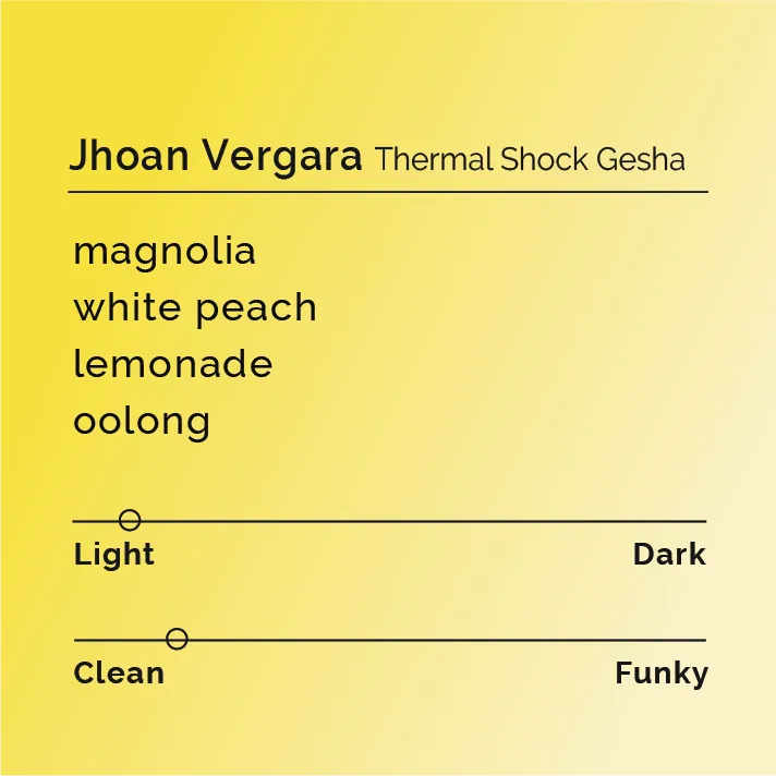 Jhoan Vergara - Thermal Shock Gesha