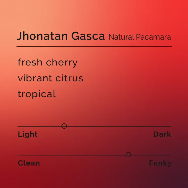 Jhonatan Gasca - Natural Pacamara