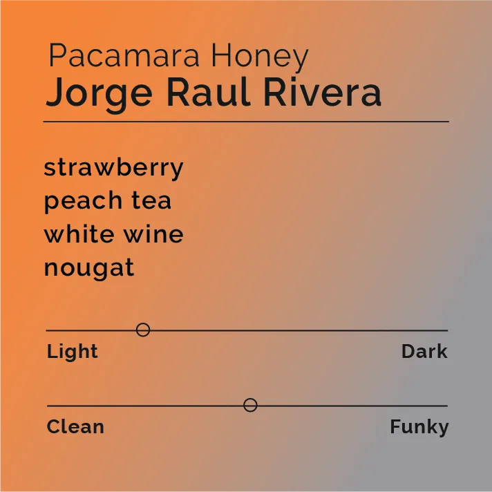 Jorge Raul Rivera - Pacamara Honey