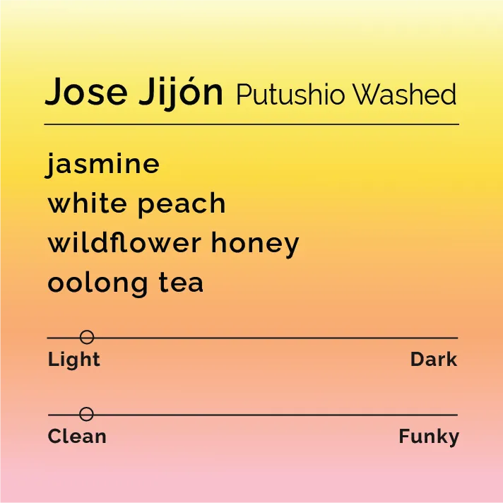 Jose Jijón - Putushio Washed