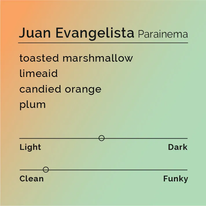 Juan Evangelista - Parainema Washed