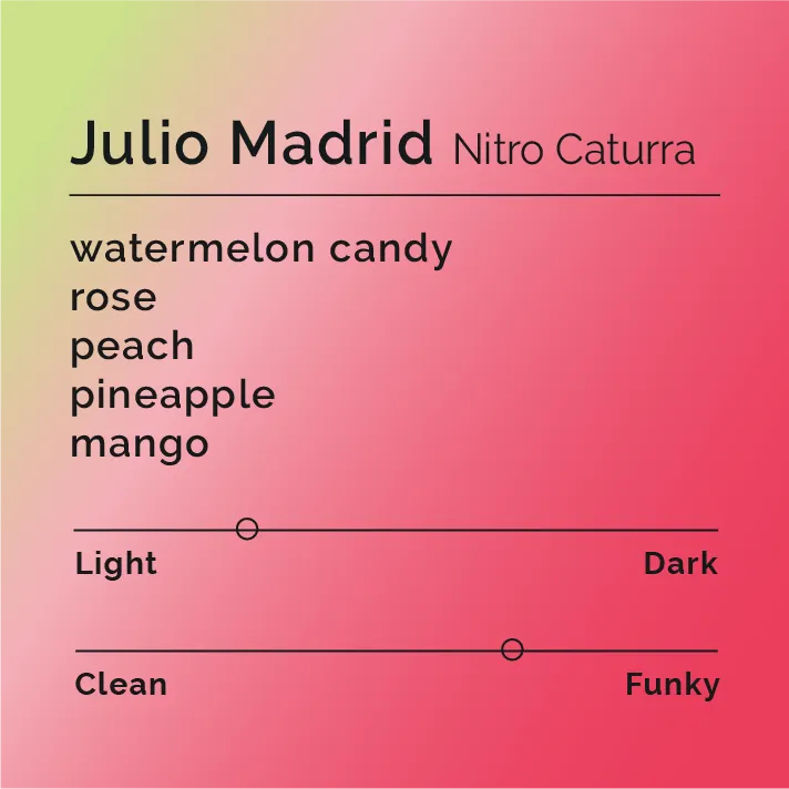 Julio Madrid - Nitro Caturra