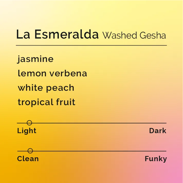 La Esmeralda - Washed Gesha