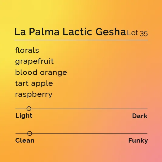 La Palma Lactic Gesha - Lot 35