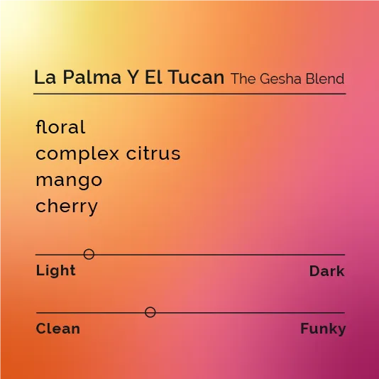 La Palma Y El Tucan - The Gesha Blend