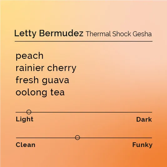 Letty Bermudez - Thermal Shock Gesha