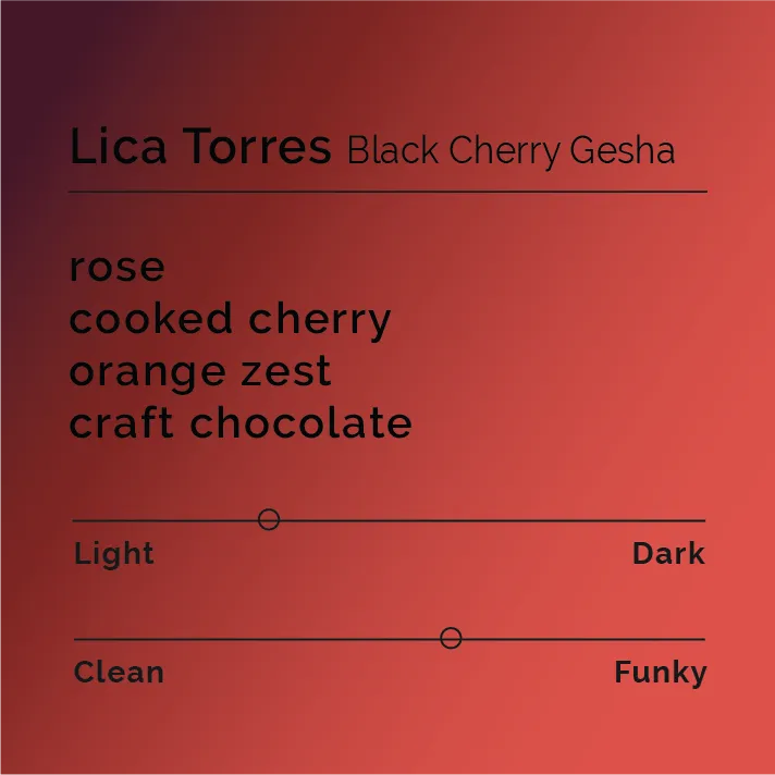 Lica Torres – Black Cherry Gesha
