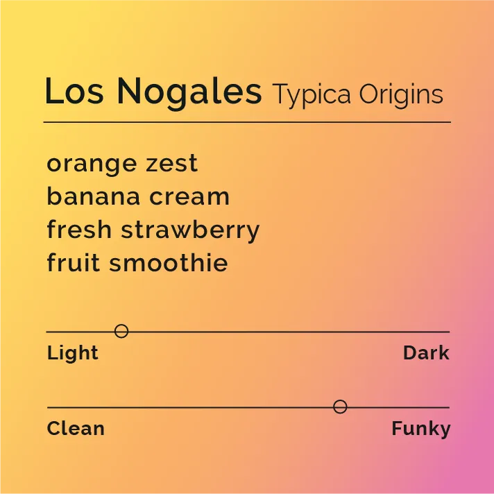 Los Nogales - Typica Origins
