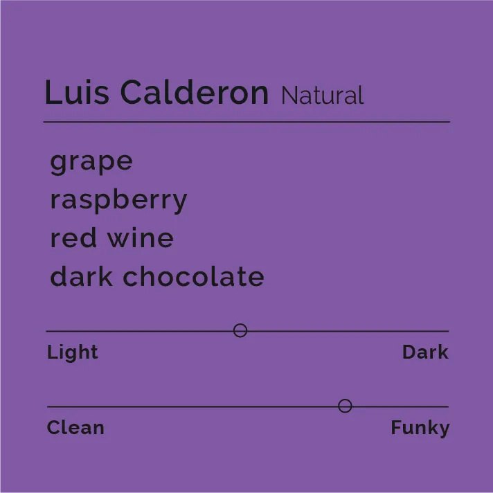 Luis Calderon - Natural