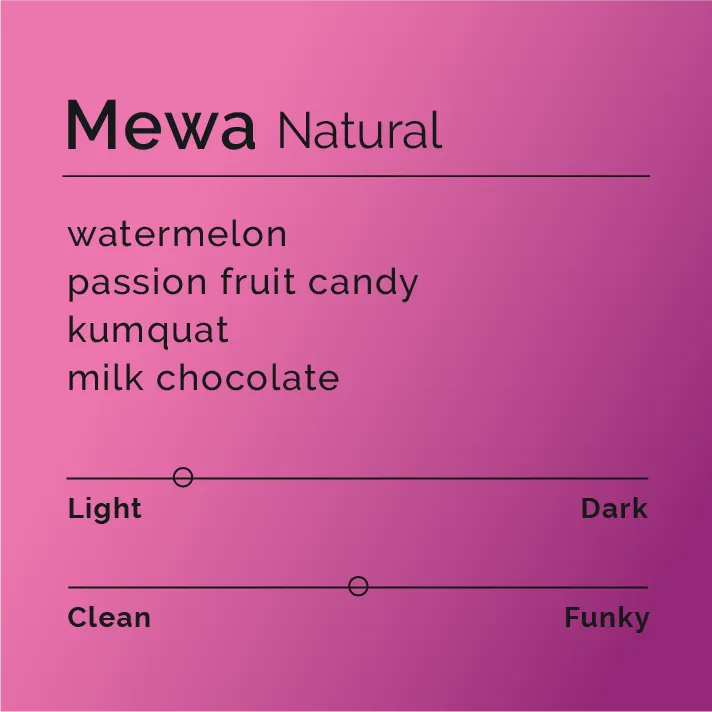 Mewa - Natural