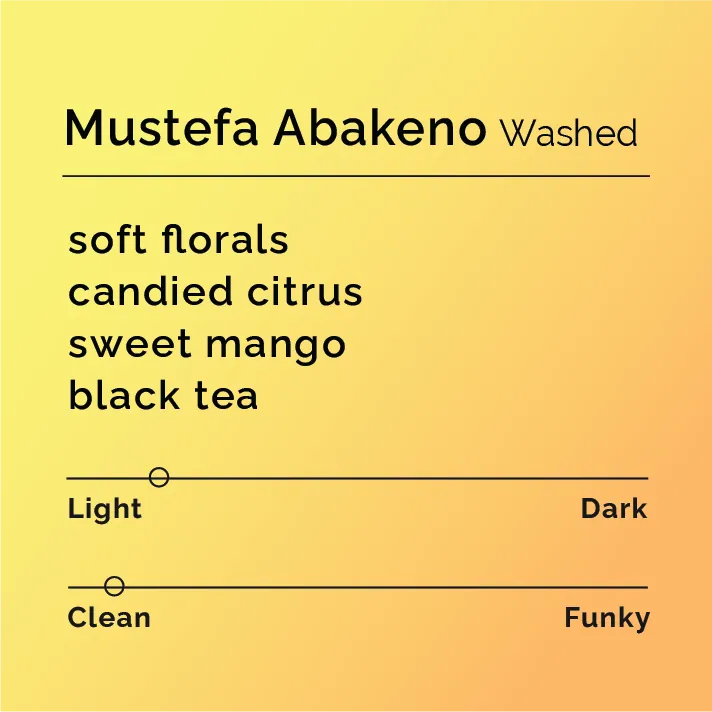 Mustefa Abakeno - Washed