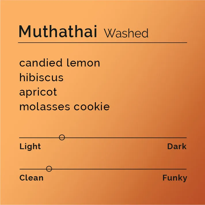 Muthathai - Washed
