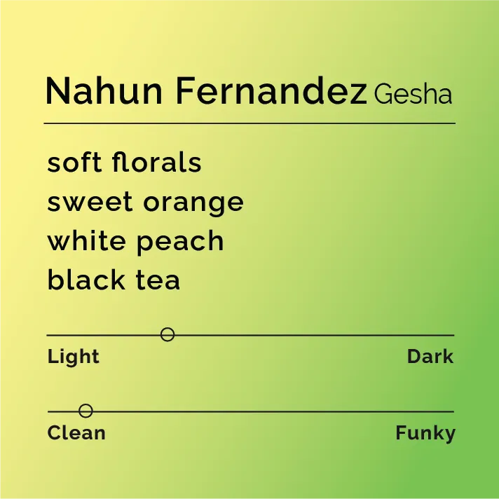 Nahun Fernandez - Gesha