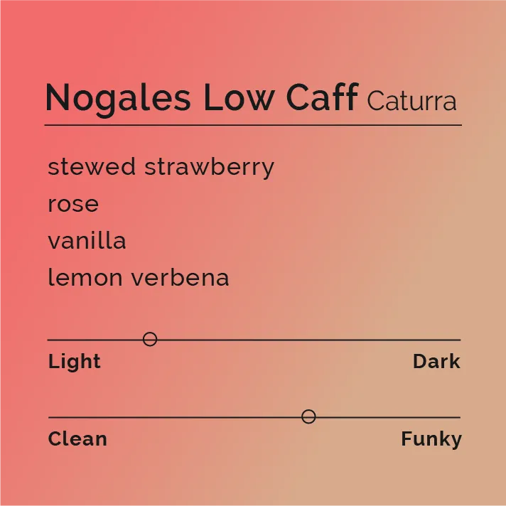 Nogales Low Caff - Caturra