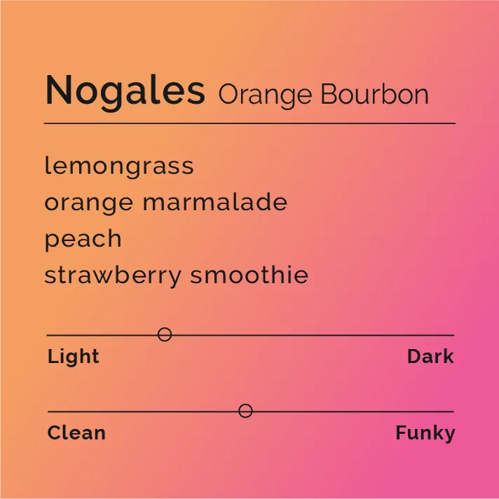 Nogales - Orange Bourbon