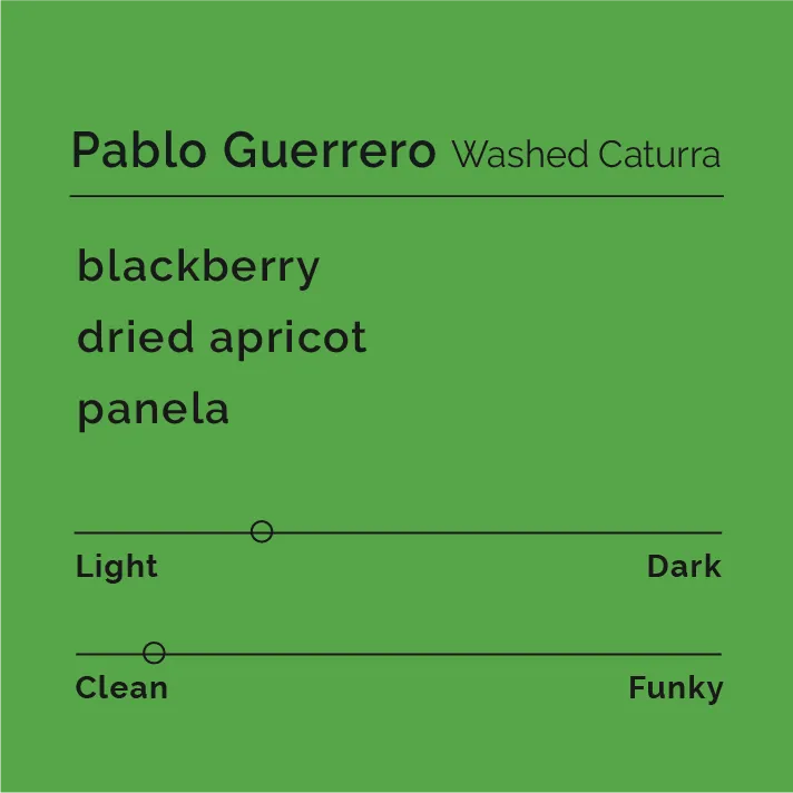 Pablo Guerrero - Washed Caturra