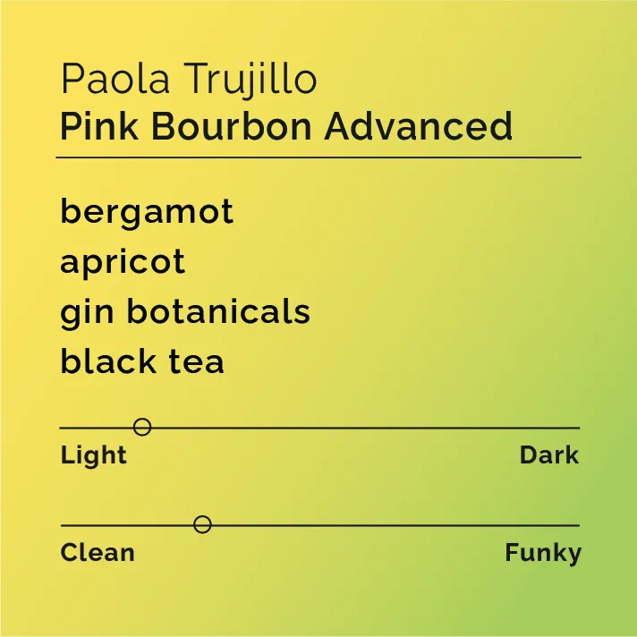 Paola Trujillo - Pink Bourbon Advanced