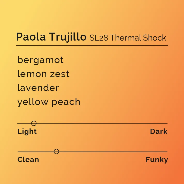 Paola Trujillo - SL28 Thermal Shock