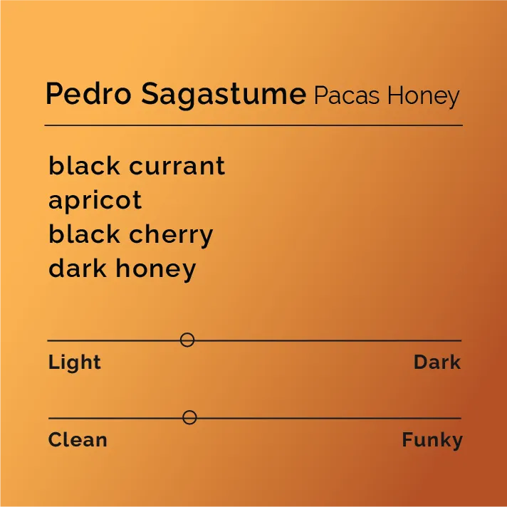 Pedro Sagastume - Pacas Honey