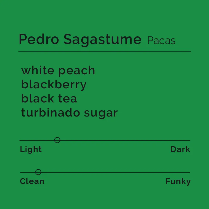 Pedro Sagastume - Pacas