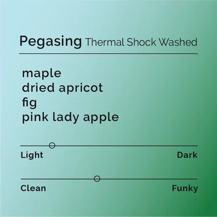 Pegasing - Thermal Shock Washed