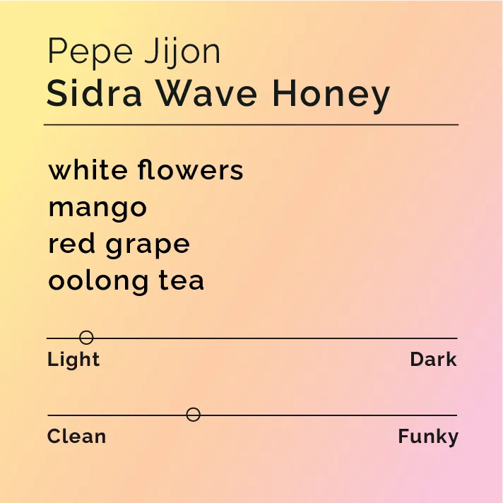 Pepe Jijon - Sidra Wave Honey