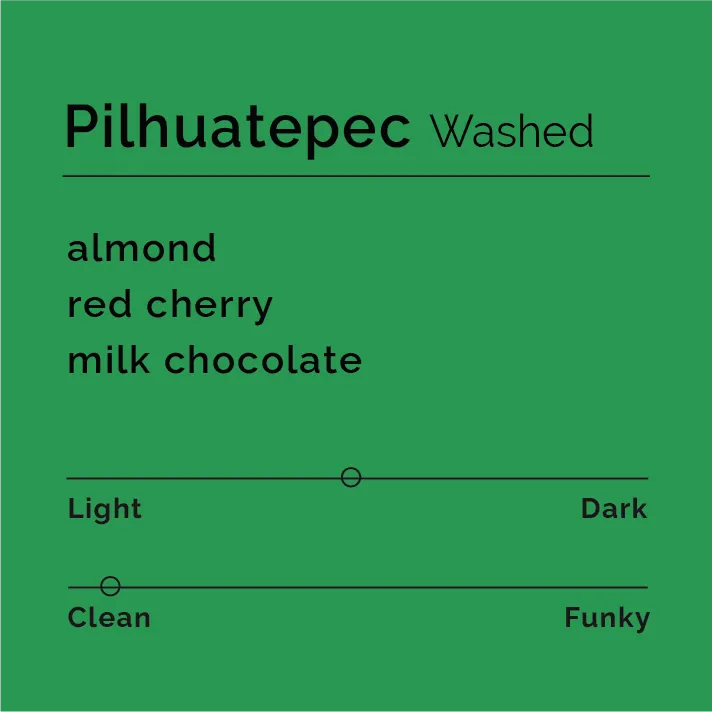 Pilhuatepec - Washed