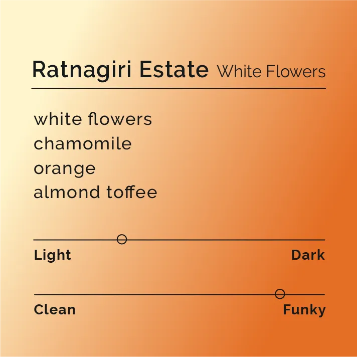 Ratnagiri Estate - White Flowers
