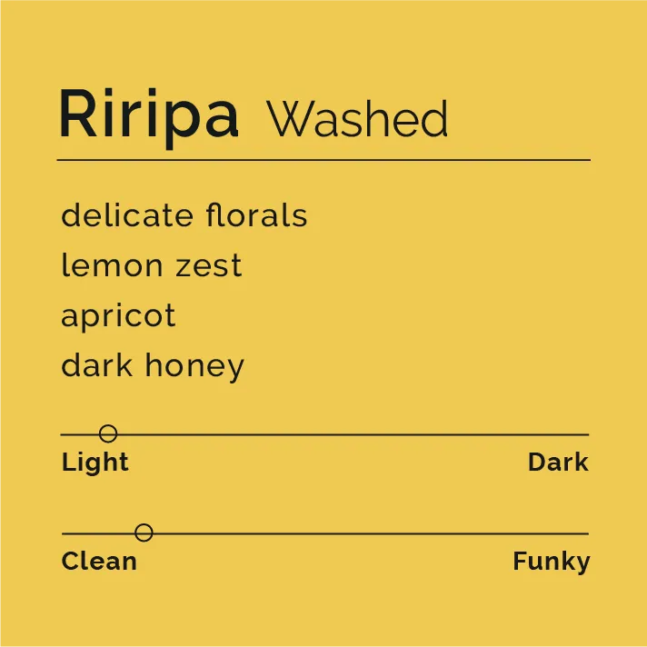 Riripa - Washed