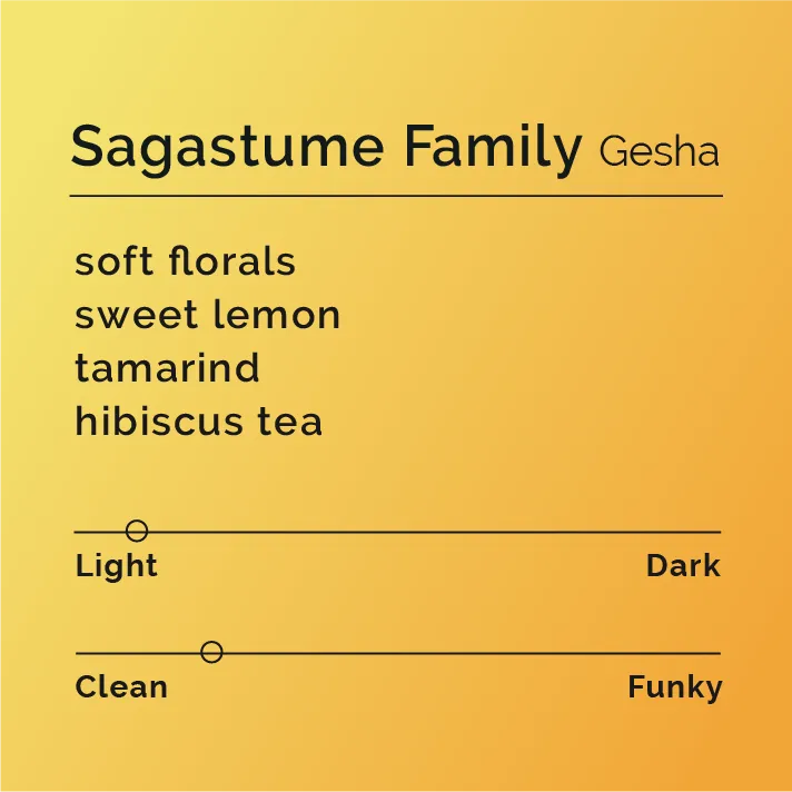 Sagastume Family - Gesha