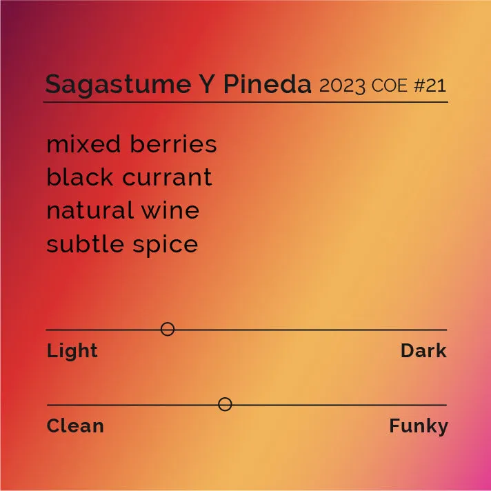 Sagastume & Pineda - 2023 COE #21