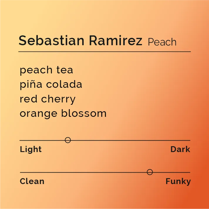 Sebastian Ramirez - Peach