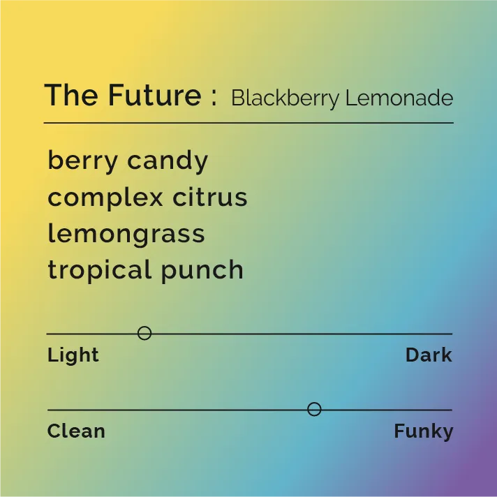 The Future - Blackberry Lemonade