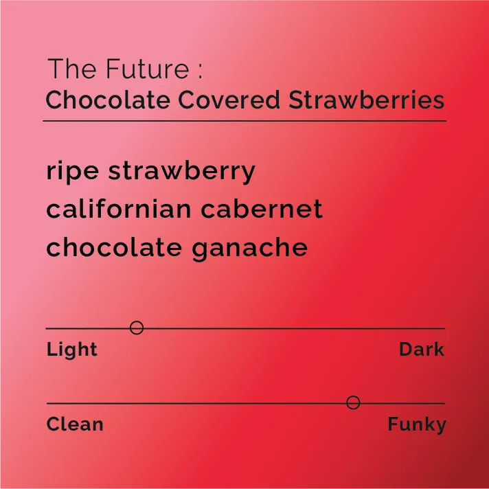 The Future - Chocolate Covered Strawberries