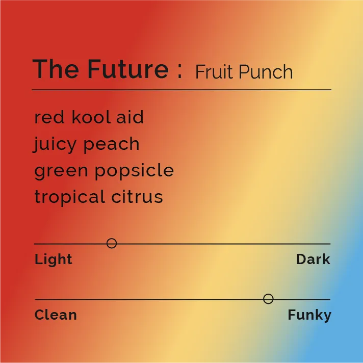 The Future - Fruit Punch