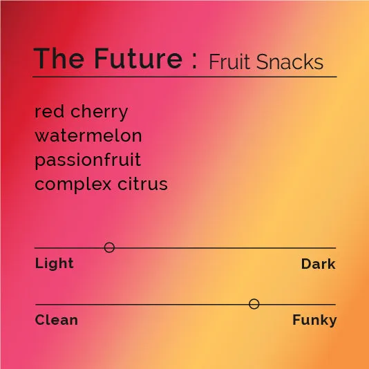 The Future - Fruit Snacks