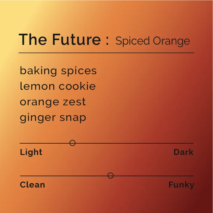 The Future - Spiced Orange