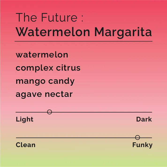 The Future - Watermelon Margarita