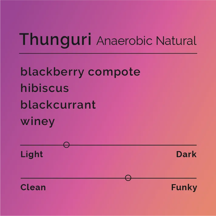 Thunguri - Anaerobic Natural