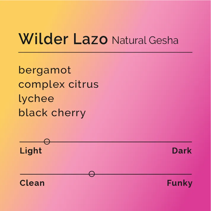Wilder Lazo - Natural Gesha