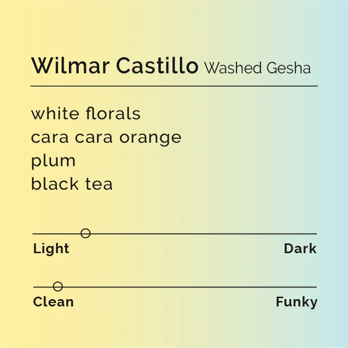 Wilmar Castillo - Washed Gesha
