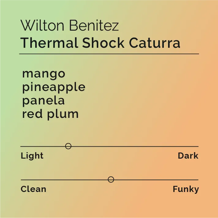 Wilton Benitez - Thermal Shock Caturra