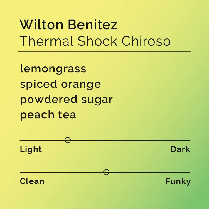 Wilton Benitez - Thermal Shock Chiroso