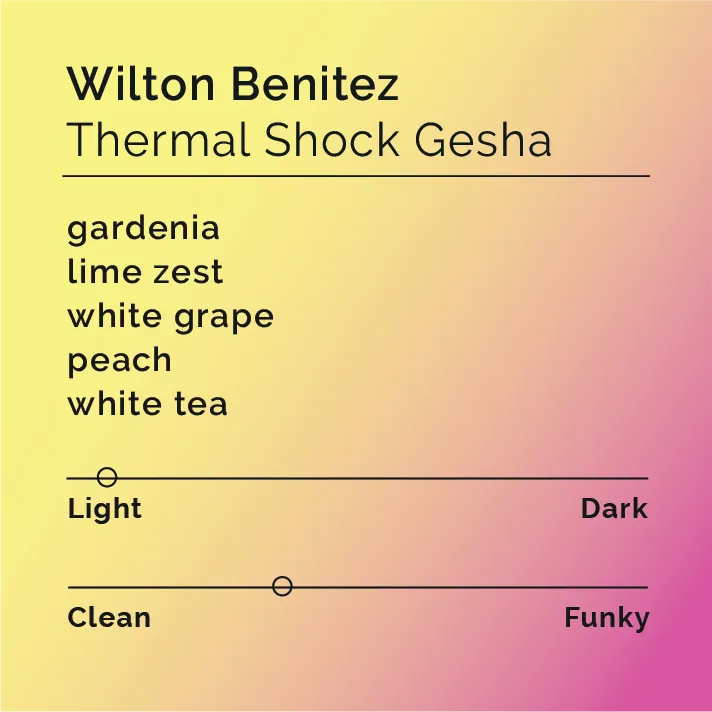 Wilton Benitez - Thermal Shock Gesha