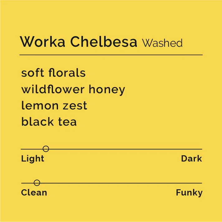 Worka Chelbesa - Washed