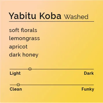 Yabitu Koba - Washed