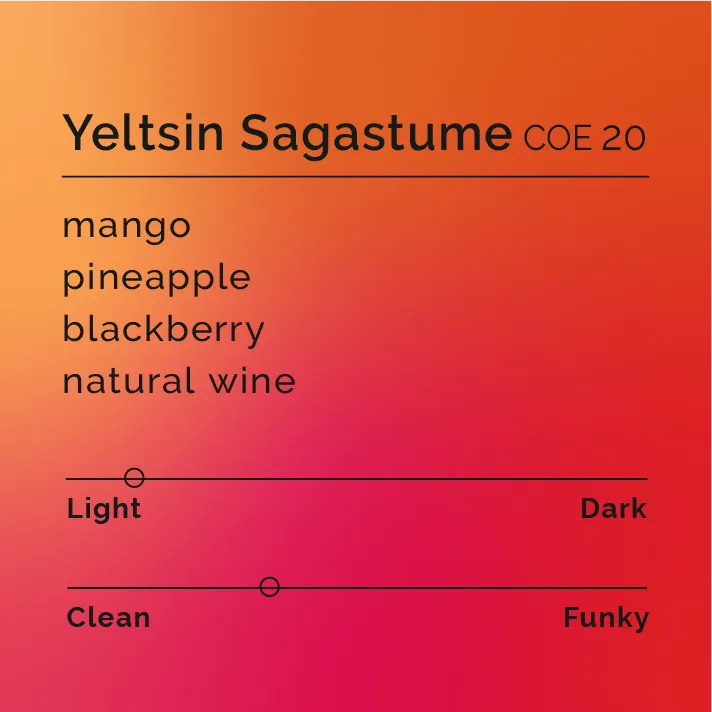Yeltsin Sagastume - COE 20